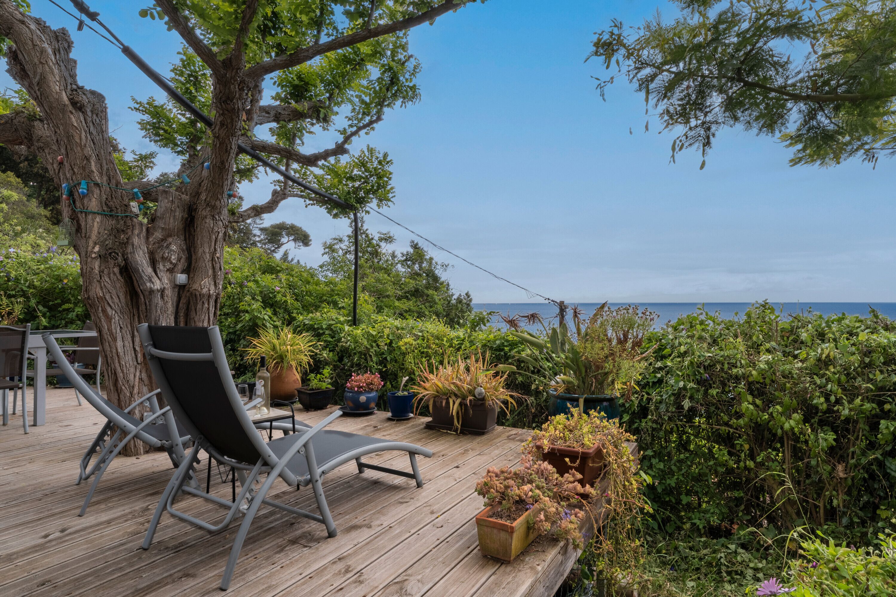 テラス / パティオ