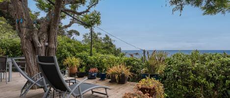 テラス / パティオ