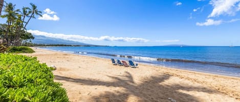 Accommodatie ligt op het strand
