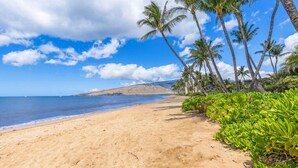 A beach with sand, palm trees, and a clear sky.