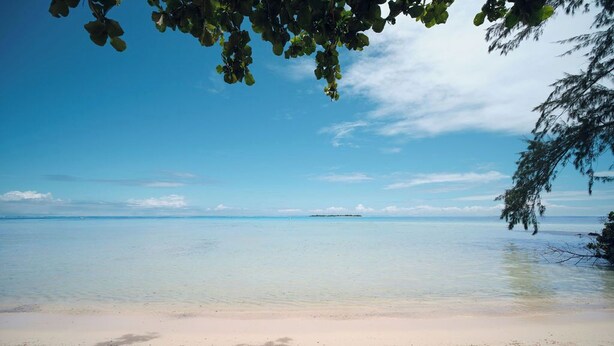 Une plage à l’eau claire, une île lointaine et une branche d’arbre au premier plan.