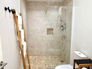 Shower, hair dryer, towels