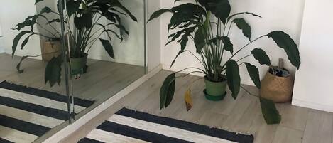 Una habitación con alfombra a rayas, una cesta tejida, plantas en macetas y un espejo con repisas que exhiben varios objetos.