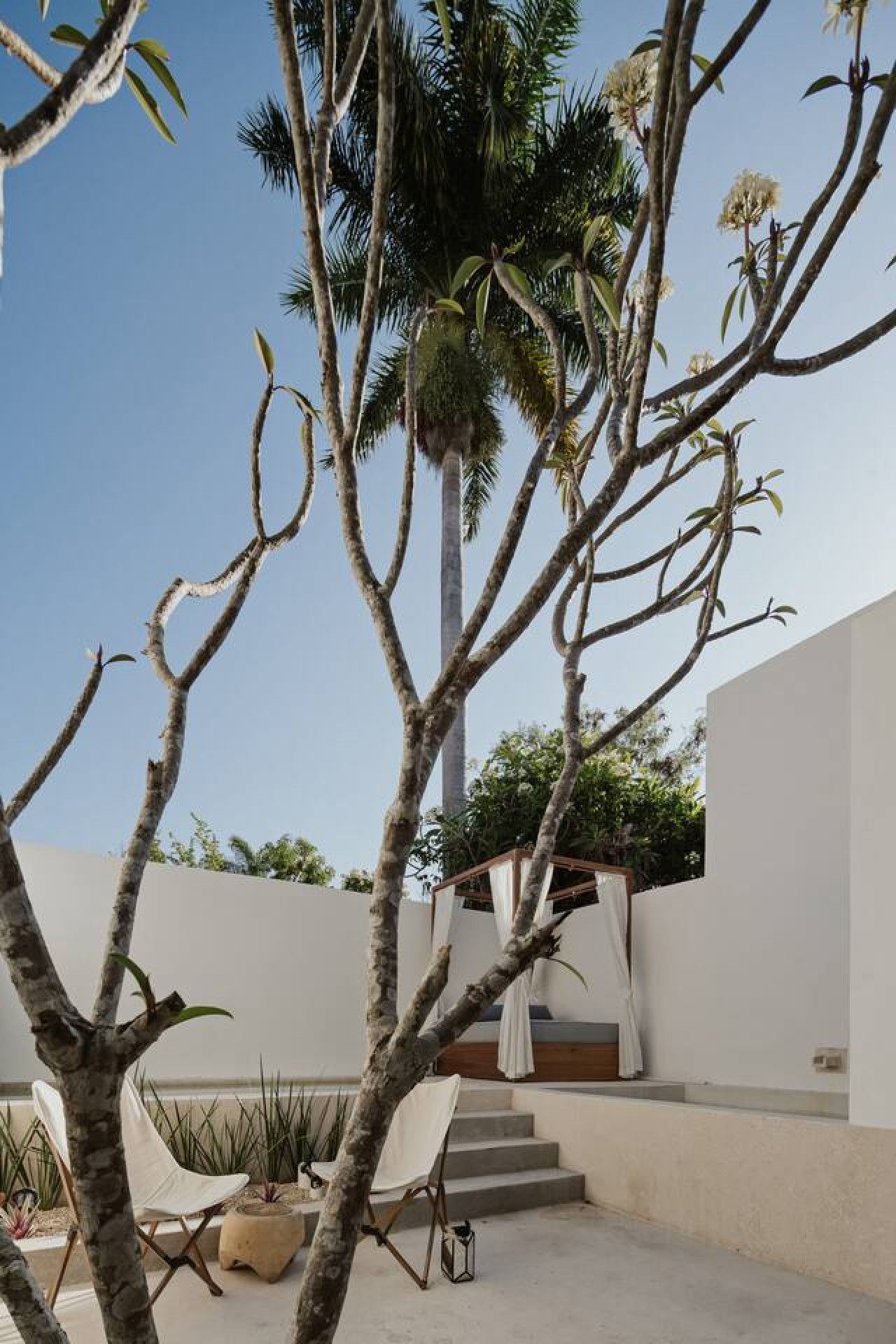 Un espacio exterior moderno con una escalera que conduce a una zona cubierta con asientos, rodeado de palmeras y plantas en macetas.