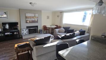 Smart TV, fireplace, books