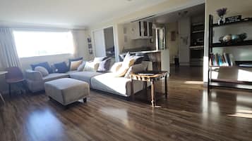 Smart TV, fireplace, books