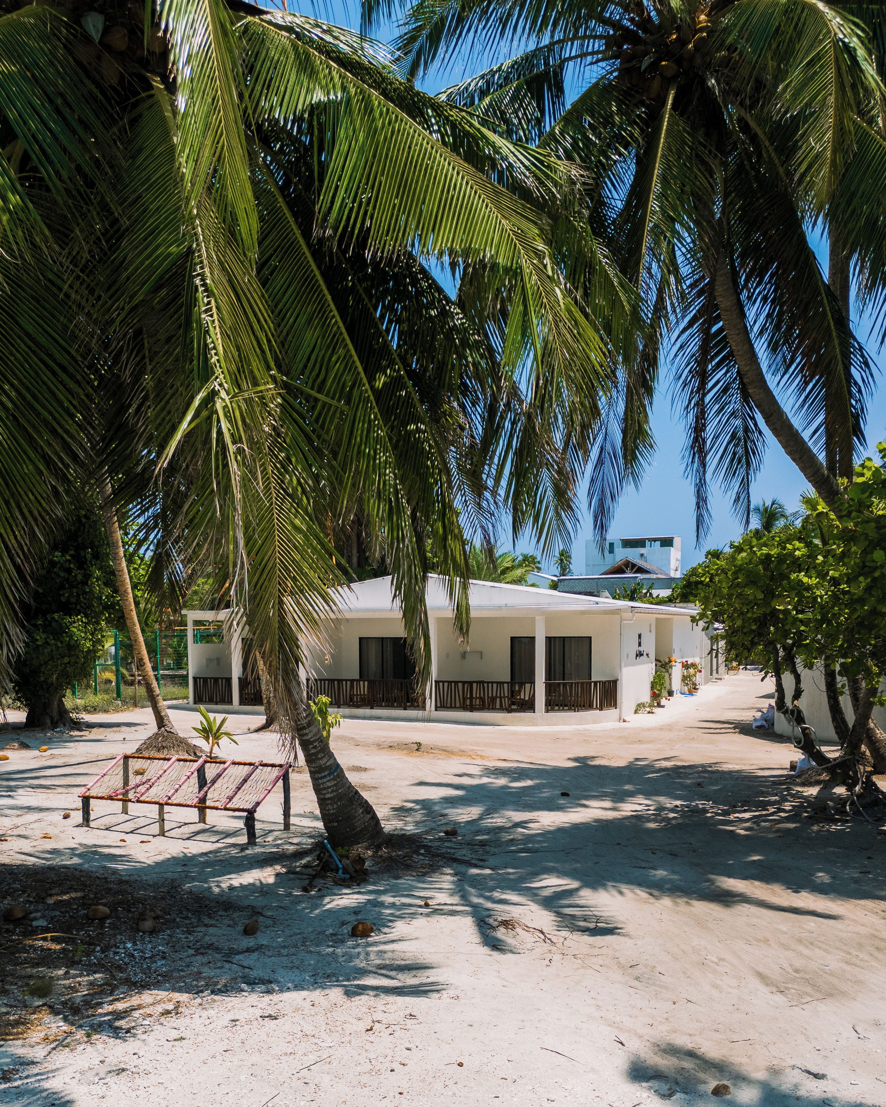 A beachside building with a sandy ground, palm trees, and a clear blue sky.