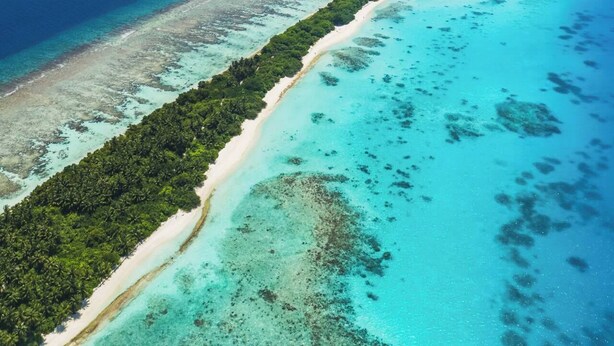 Luchtbeeld van een kustgebied met een lang strand, helder turquoise water en weelderige groene begroeiing langs de waterlijn.