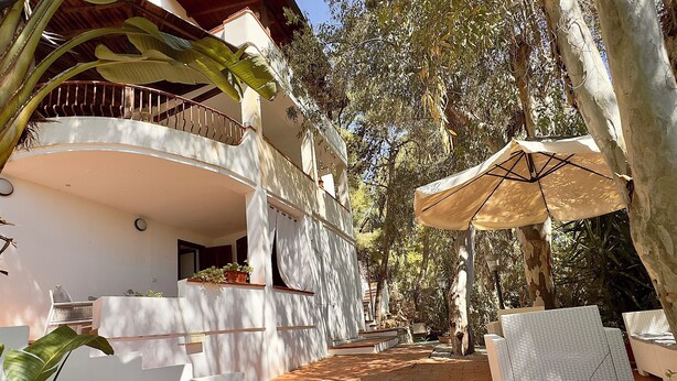 A covered outdoor area with a concrete pathway, a white umbrella, and potted plants.