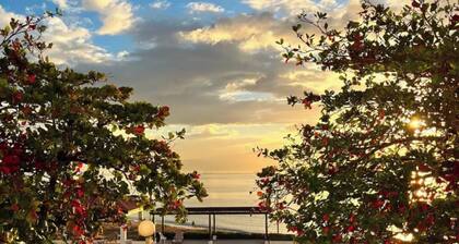 “Seas the Day.”Cozy Beachfront escape in Portmore.