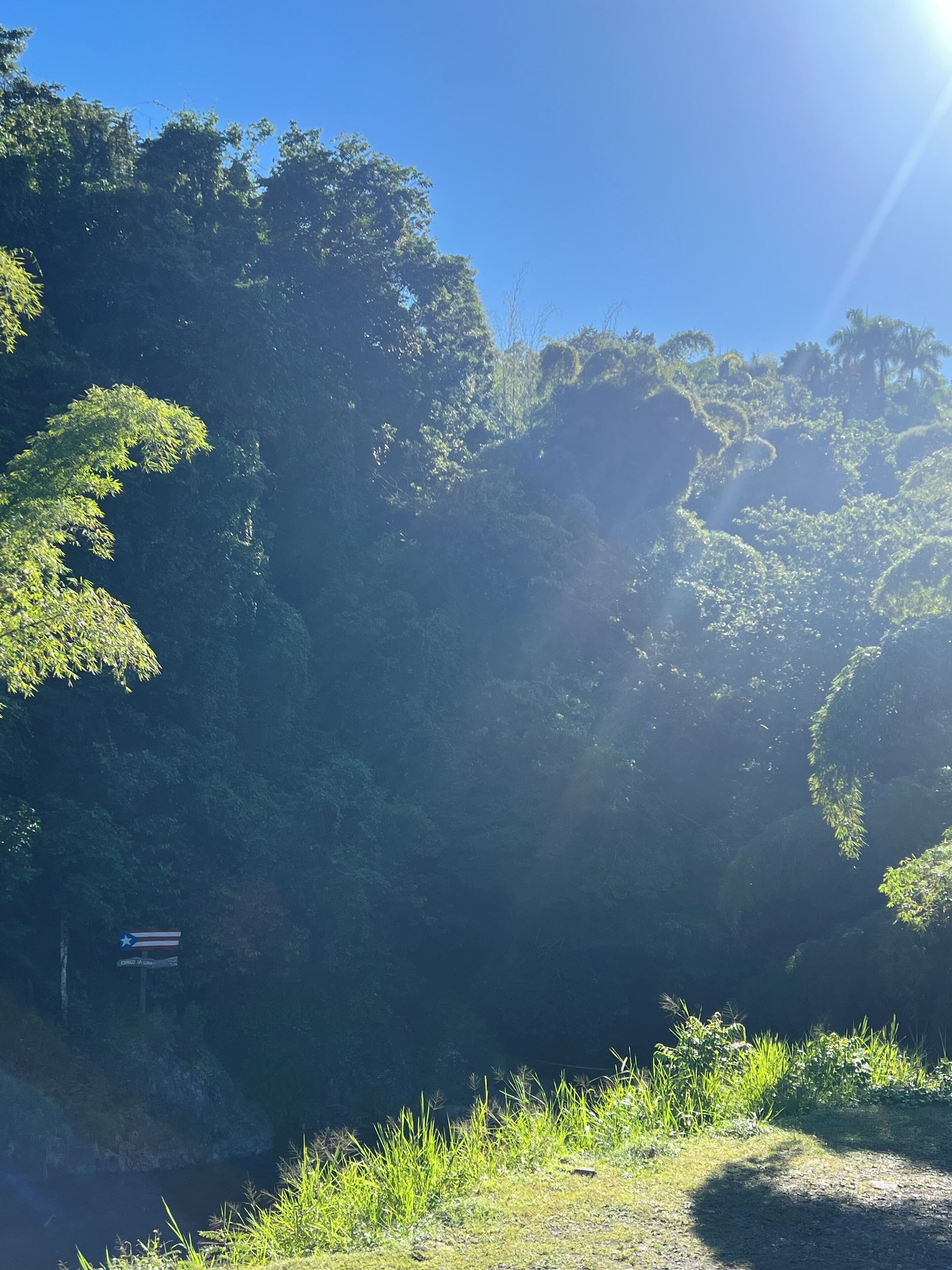 Un paysage naturel caractérisé par une végétation luxuriante et un ciel dégagé.