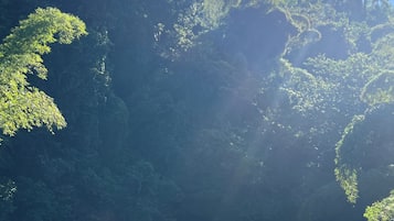 Un paysage naturel caractérisé par une végétation luxuriante et un ciel dégagé.