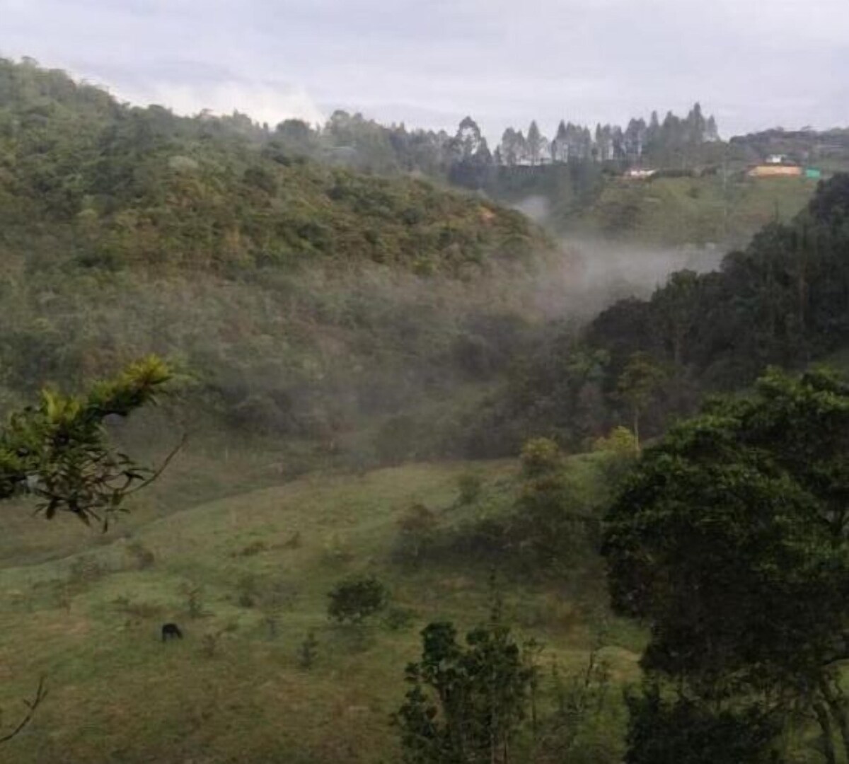 Imagen de perfil del propietario o de la propietaria