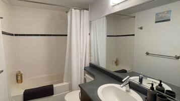 Hair dryer, towels, soap, shampoo