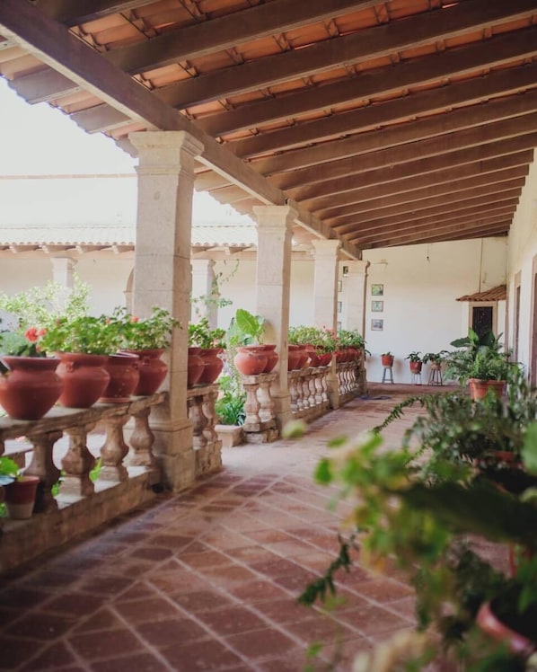 Terassi/patio