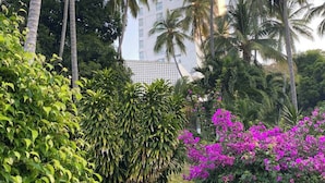 A lush garden with tall palm trees, dense green foliage, and vibrant pink bougainvillea flowers. - Charming 2-bedroom apartment in gorgeous Acapulco with AC, WiFi, Ocean View (Acapulco)