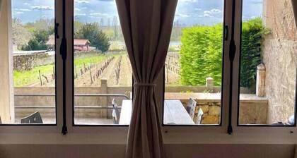 L'Espérance vue sur la Loire et la vigne 2