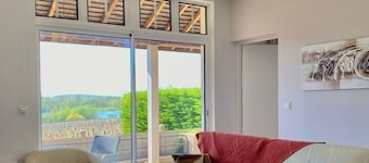 L'Espérance overlooking the Loire and vineyards 2
