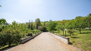 A paved pathway leading through a park with trees and shrubs on either side.