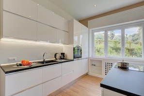 Fridge, oven, stovetop, dishwasher