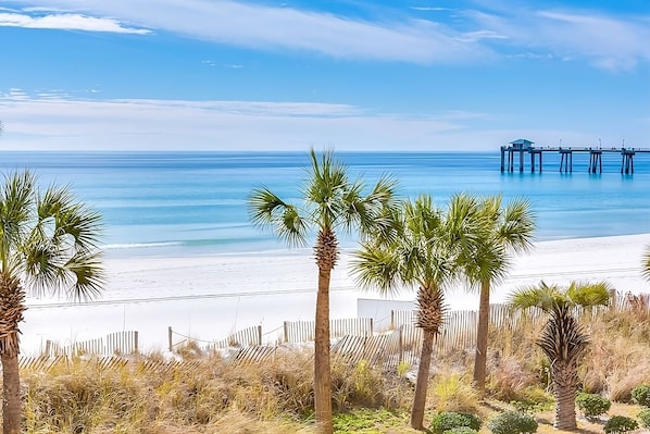 A beach with palm trees, a wooden fence, and a pier extending into the water.