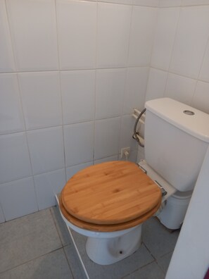 Shower, towels, soap, toilet paper - Garden level (Gap)