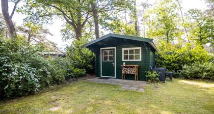 Forest Villa in Markelo with Sunny Garden