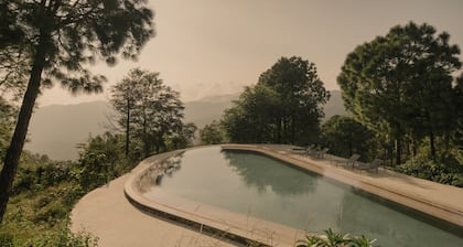 Amaya Kasauli