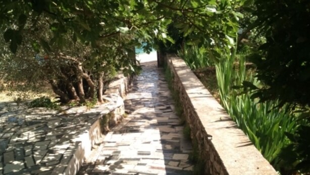 Un chemin de pierre bordé d’arbres et délimité par un petit muret en pierre.