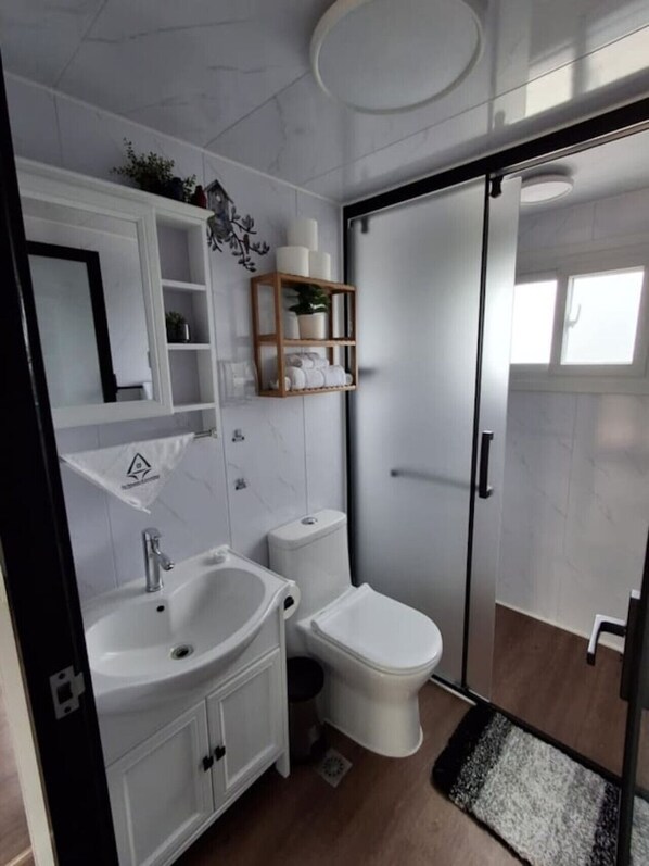 A modern bathroom with a white sink, toilet, and glass shower enclosure. There is a wooden shelf with toiletries and a small plant.