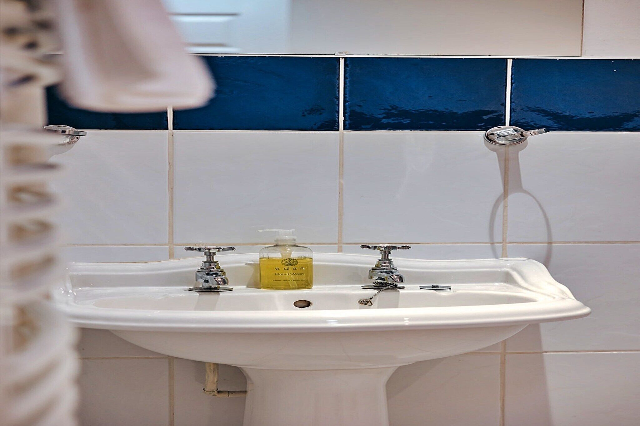 A bathroom with a white sink, two faucets, and a bottle of Eden hand wash soap.