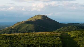 A hill with a path leading up to it, surrounded by greenery.