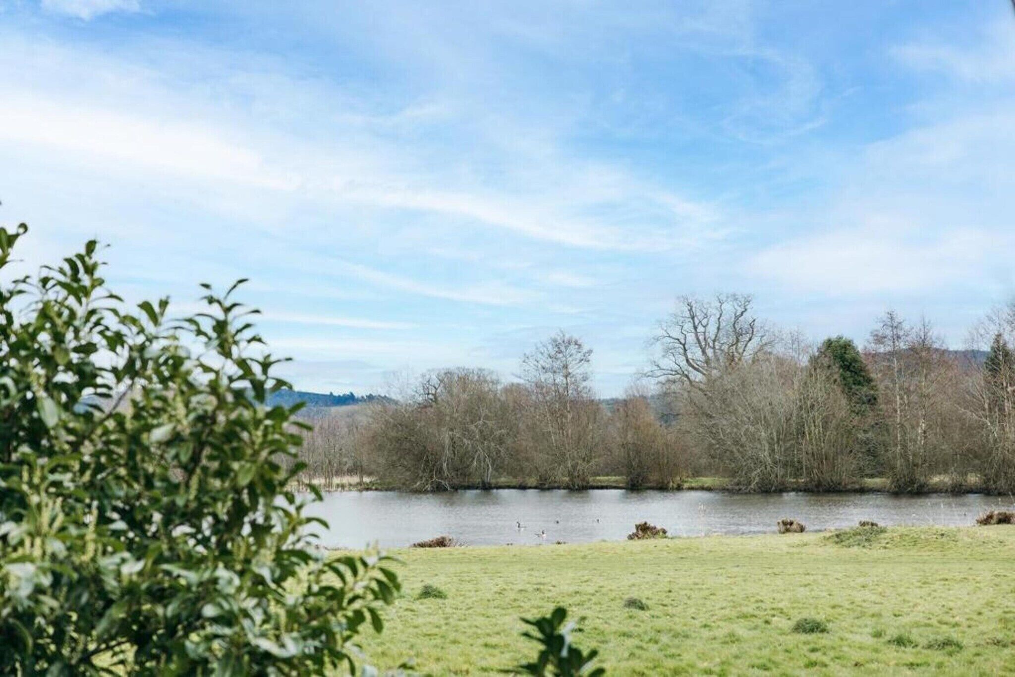 A serene lakeside view with trees and a grassy foreground.