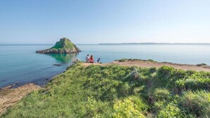 A coastal scene with a grassy area and a small rocky island in the distance.