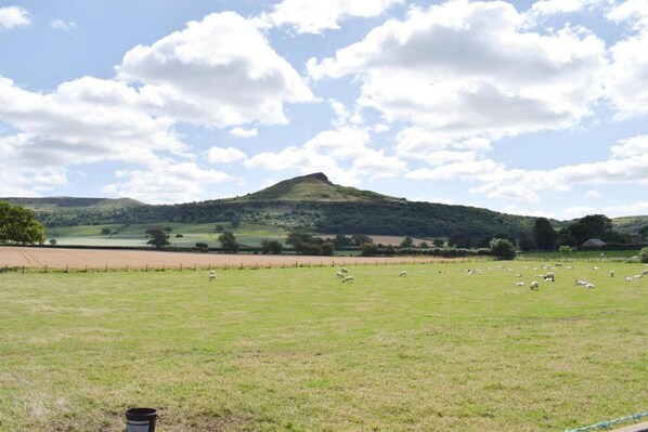 A rural landscape with a hill, sheep grazing, and a fence.