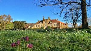 Ein großes, historisches Gebäude mit roten Ziegeln und einem üppigen Rasen mit violetten Blumen und gelben Narzissen.