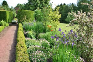 Property grounds - Cottage in North York Moors near Manor House (Great Ayton)