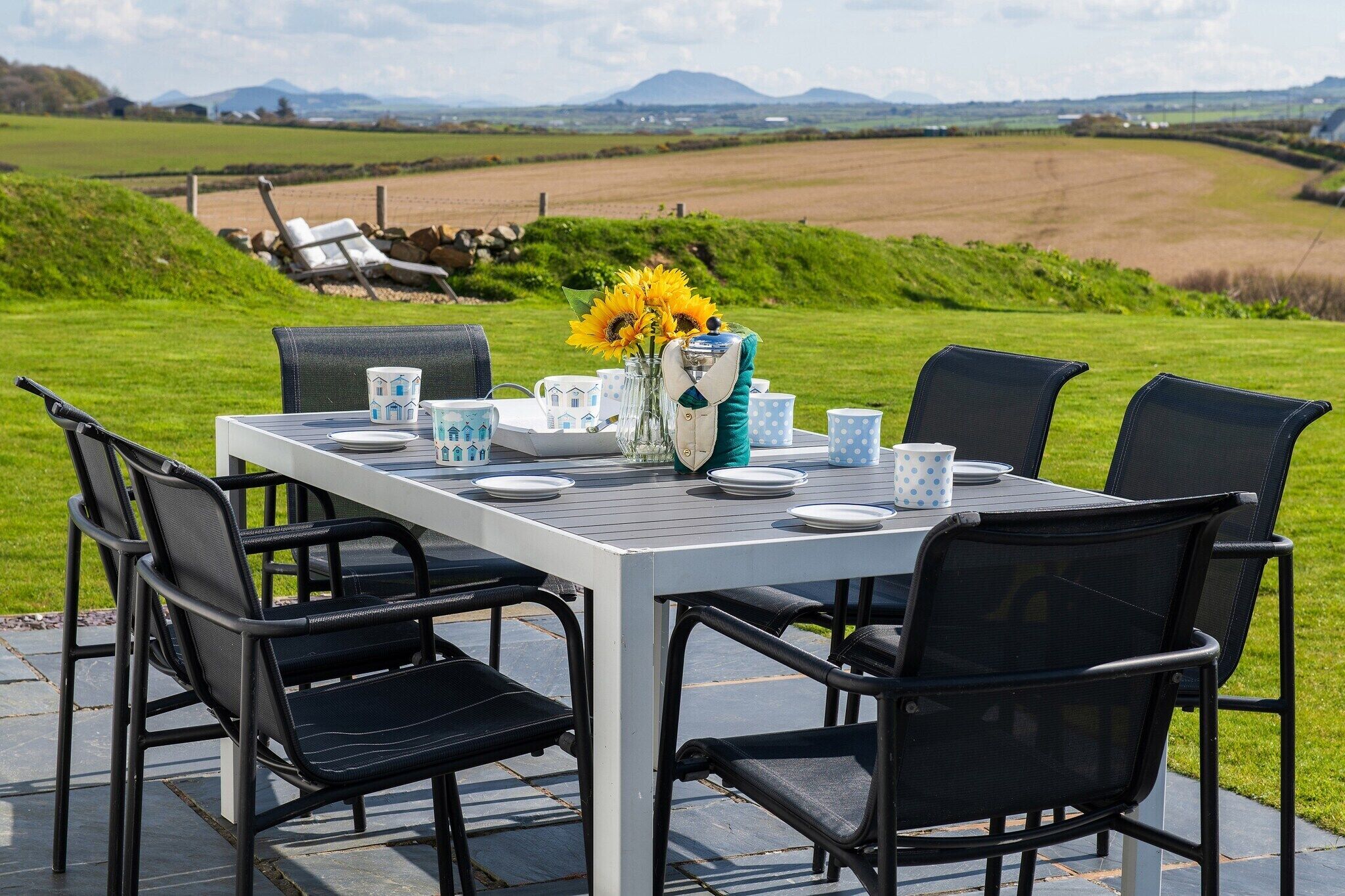 A table set outdoors with chairs, a vase of sunflowers, and a scenic view of a field and mountains in the background.