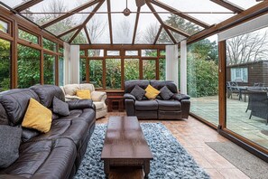 TV connectée, cheminée, lecteur de DVD