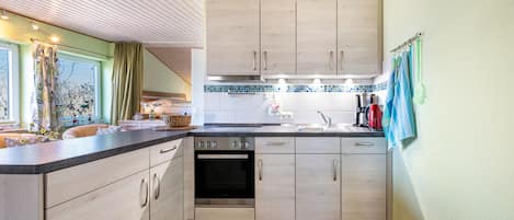 Kühlschrank, Ofen, Herdplatte, Geschirrspüler