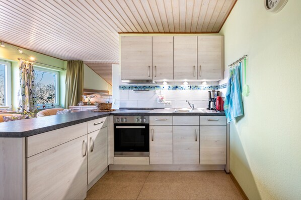 Kühlschrank, Ofen, Herdplatte, Geschirrspüler