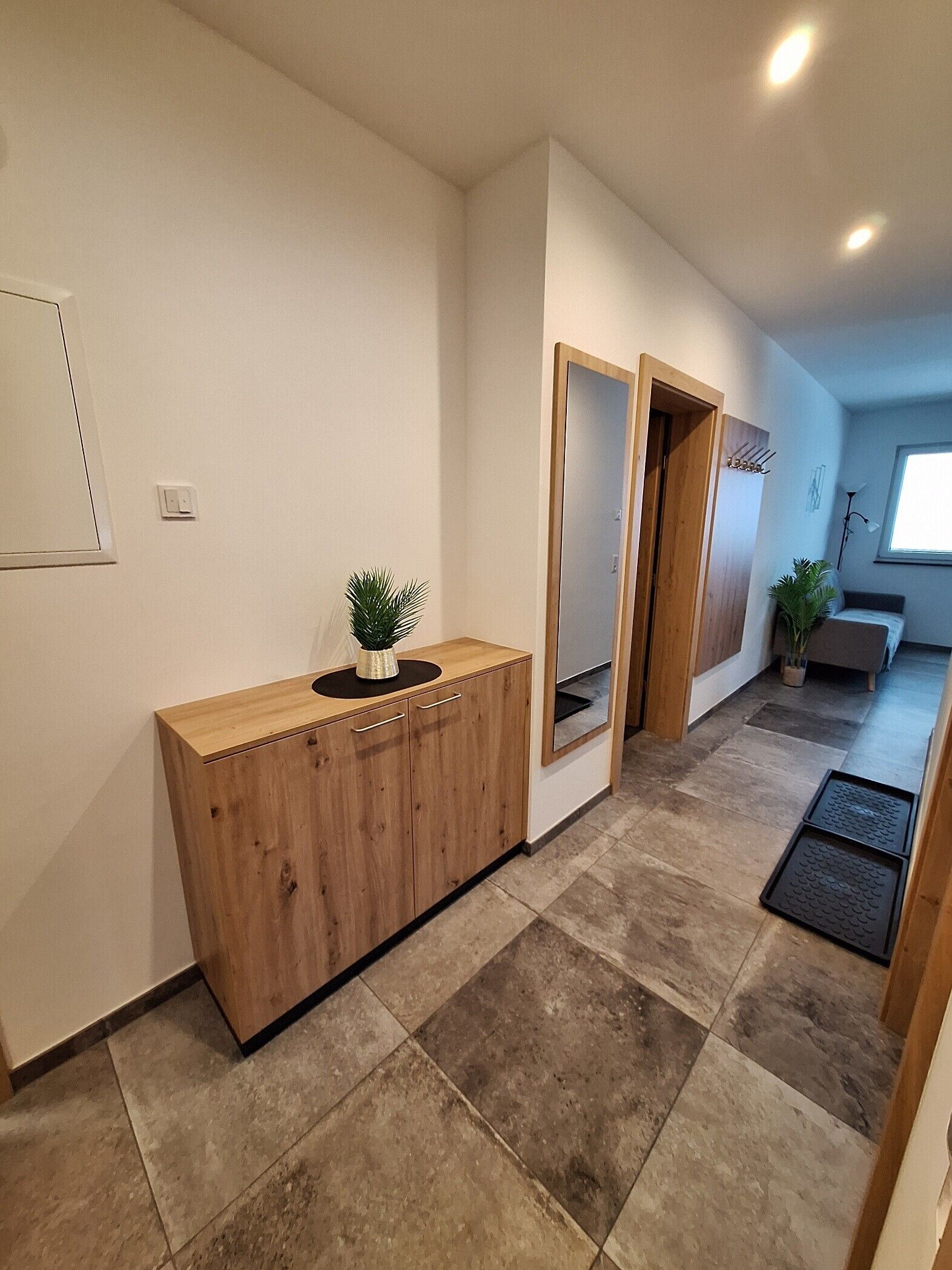 A hallway with a wooden cabinet, a potted plant, a mirror, and a door leading to another room.