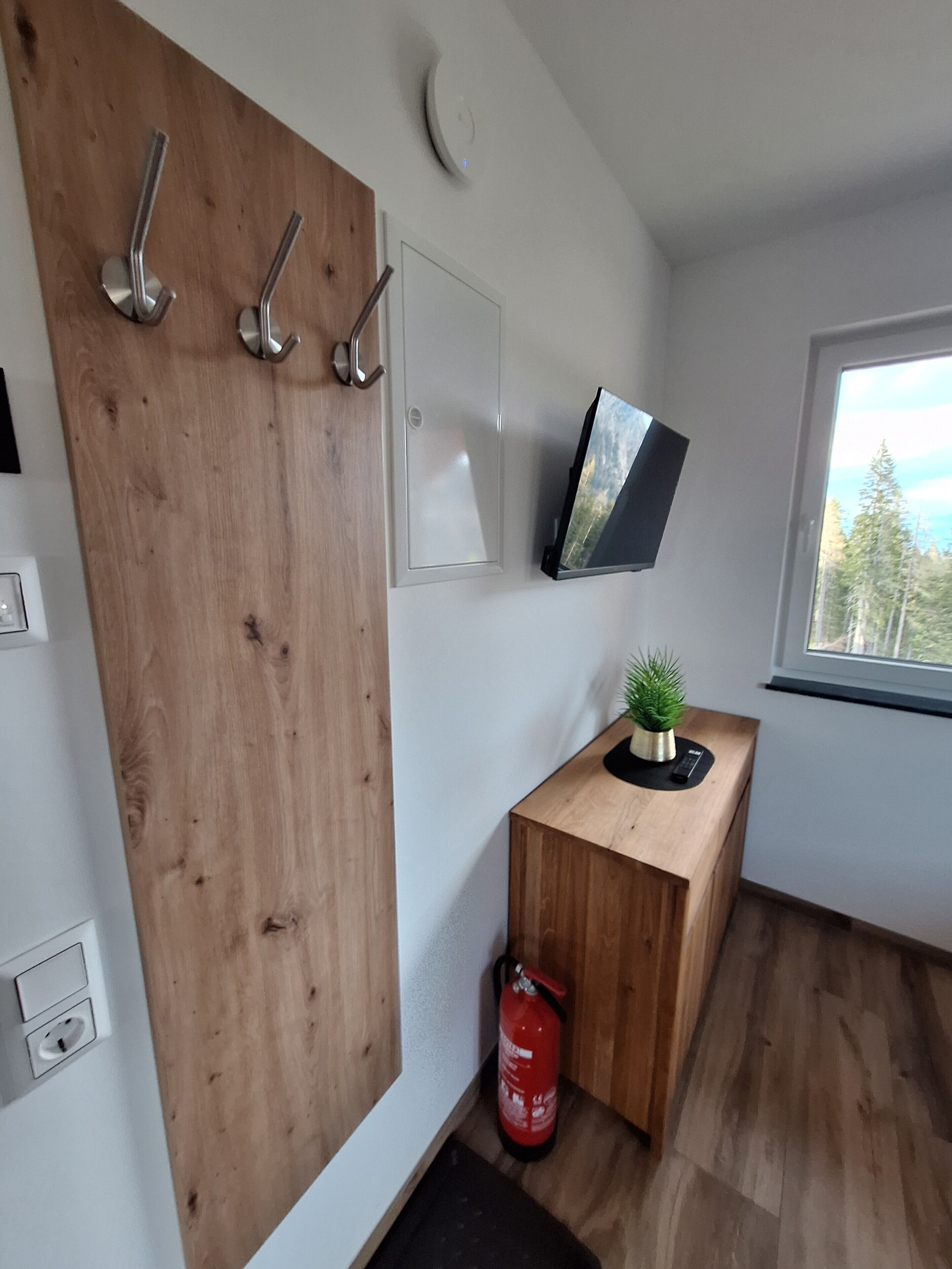 Una camera moderna con una parete in legno, una TV a parete, un piccolo tavolo in legno con una pianta e un estintore.