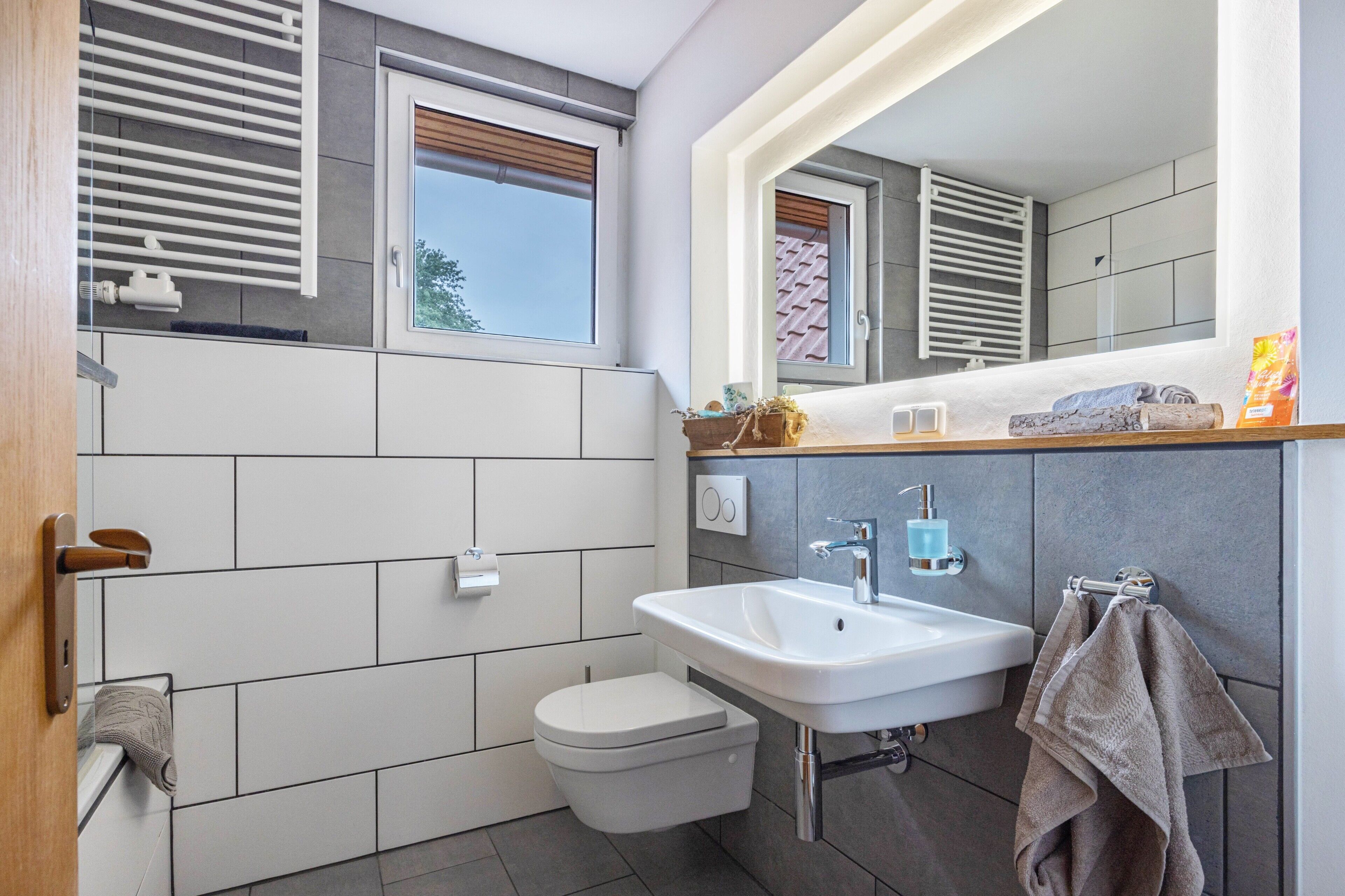 Shower, hair dryer, towels