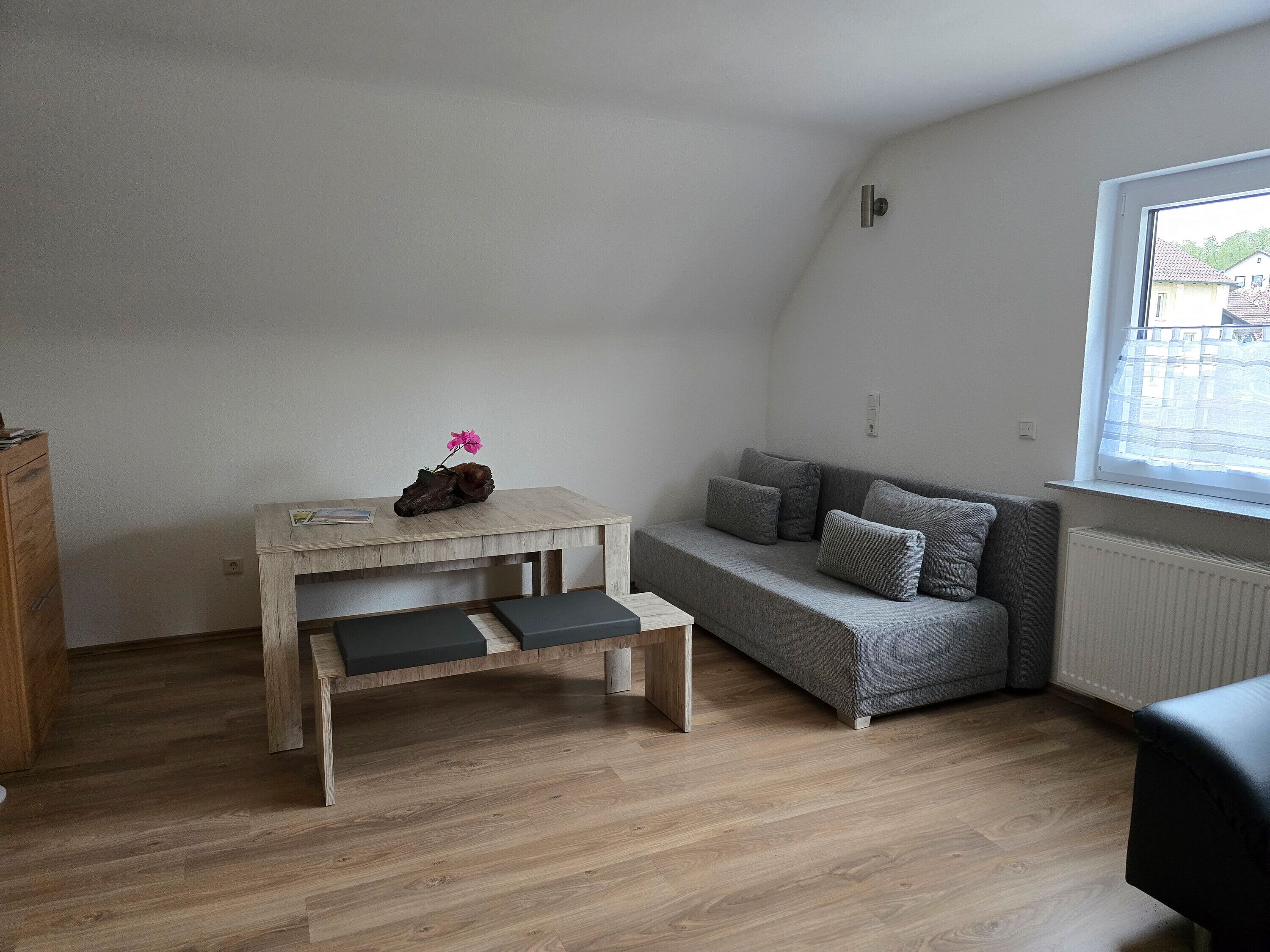 TV, table tennis, stereo