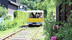 Un train jaune circule sur des voies ferrées, transportant des passagers, et est entouré de verdure et d’un bâtiment.