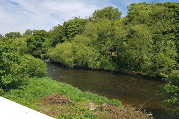 A river flowing through a densely wooded area.