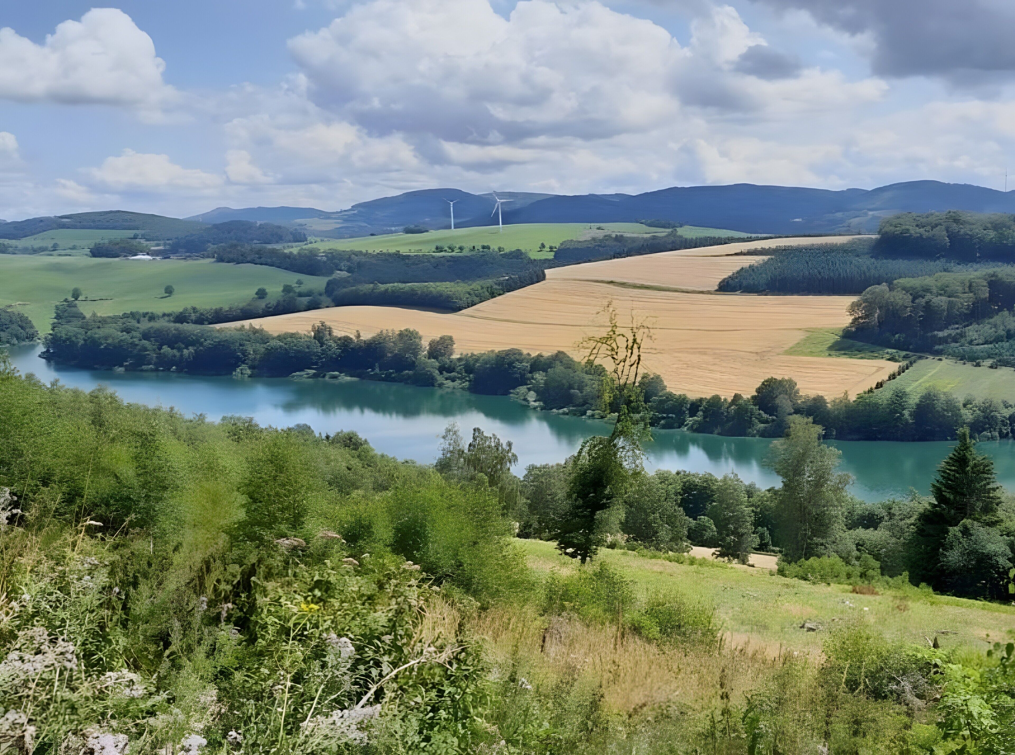 A landscape with a river, fields, and wind turbines.