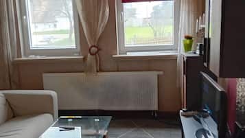 Fernseher