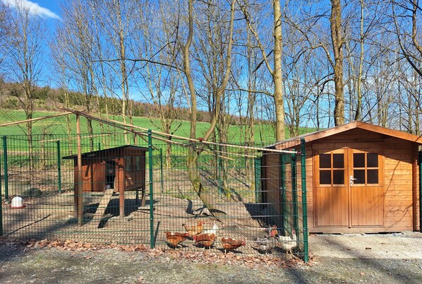 Enceinte de l’hébergement